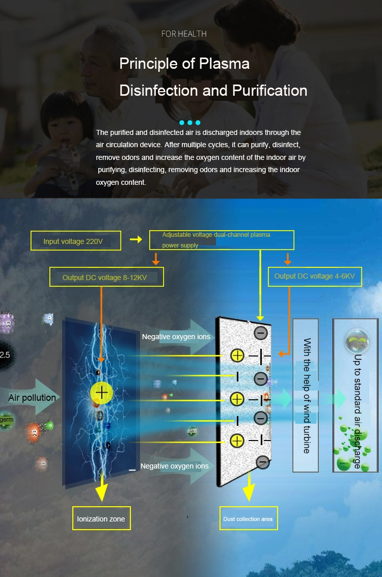 Medical Sterilization Equipment Plasma Air Purification Sterilizer to Remove Odor Formaldehyde Pm0.5 Remote Control Timing